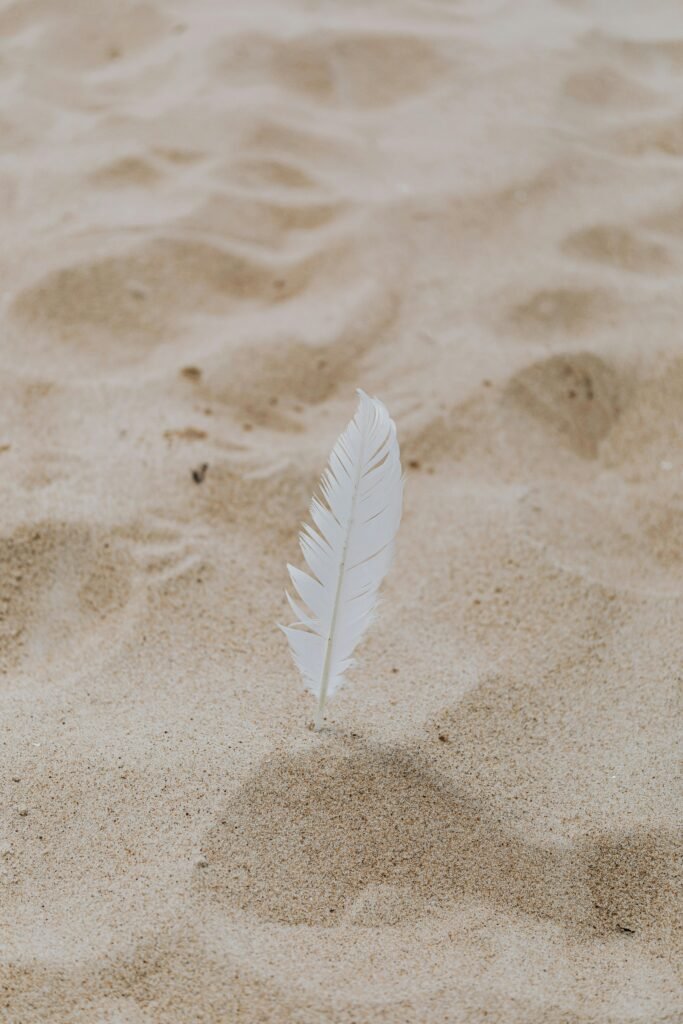 Close-up of a single white feather standing upright on sandy ground, depicting tranquility.
